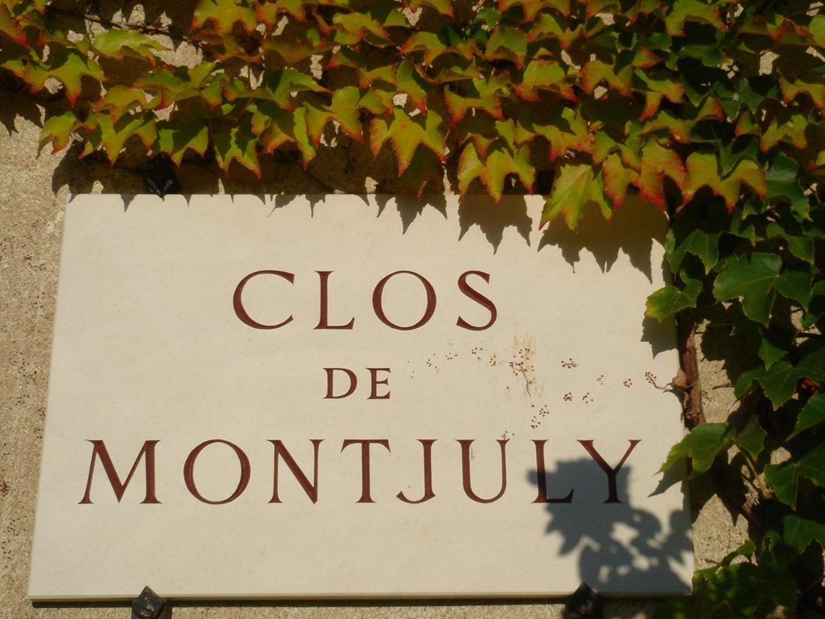 Clos de Mont July, architecture XVIIIe au cœur de la nature Ceyzeriat Extérieur photo
