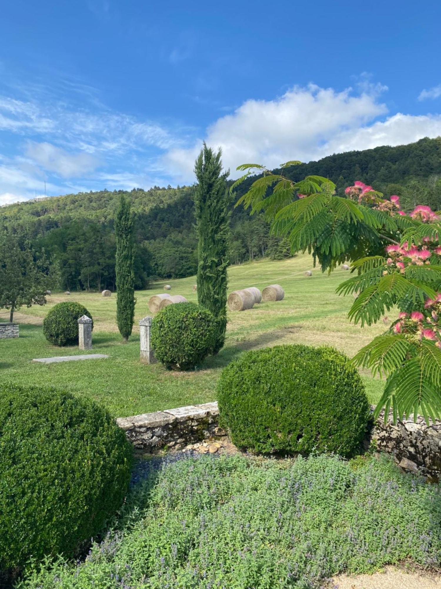 Clos de Mont July, architecture XVIIIe au cœur de la nature Ceyzeriat Extérieur photo